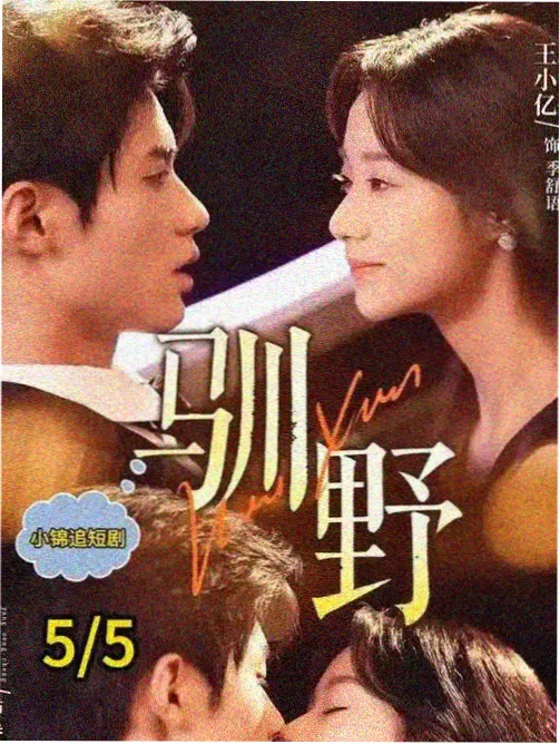 年度热剧合集